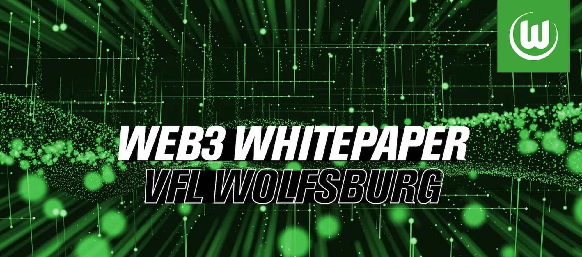 header-vfl-whitepaper